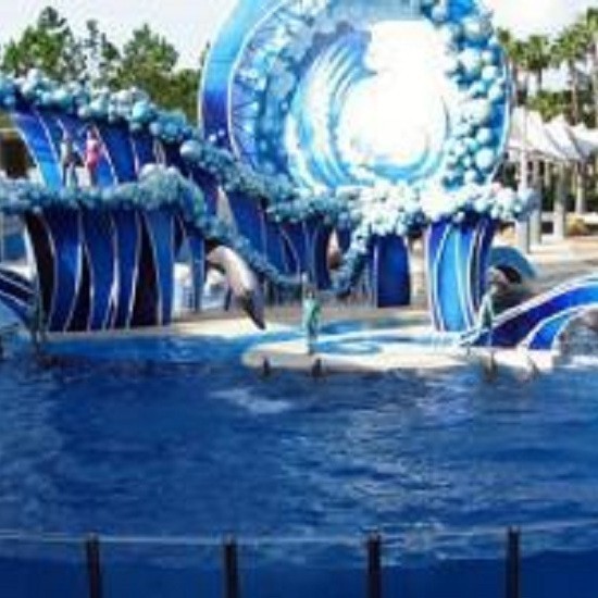 韶關(guān)水族店|韶關(guān)市湞江區(qū)水族店哪家口碑最好 韶關(guān)水族店|韶關(guān)市湞江區(qū)水族店哪家口碑最好 全國(guó)水族館企業(yè)名錄 第3張