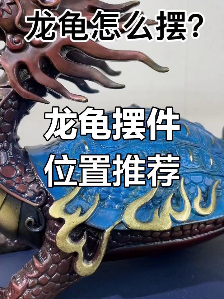 龍龜?shù)淖罴褦[放位置在哪里？