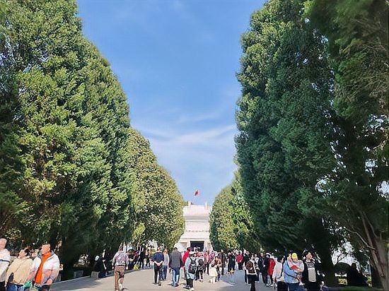 芷江龍魚店|光影龍騰非遺融合“和平之城”湖南芷江人潮涌動春意濃 芷江龍魚店|光影龍騰非遺融合“和平之城”湖南芷江人潮涌動春意濃 全國水族館企業(yè)名錄 第1張