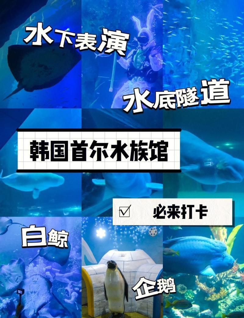 樂(lè)<strong><mark>天水</mark></strong>族館魚類品種|韓國(guó)首爾樂(lè)天世界水族館游玩攻略