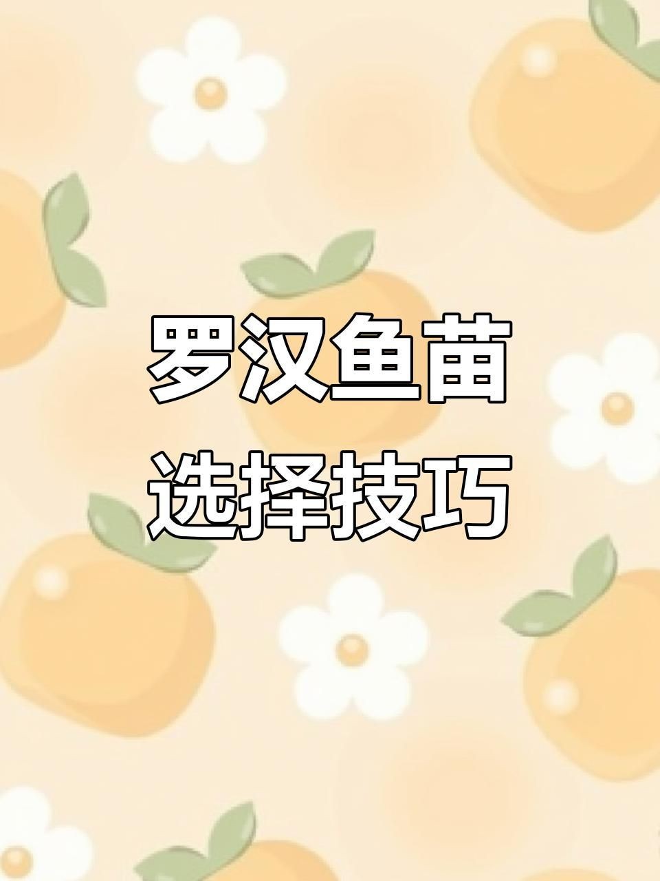 羅漢魚苗怎么挑選|如何挑選羅漢魚苗 羅漢魚苗怎么挑選|如何挑選羅漢魚苗 龍魚百科 第2張