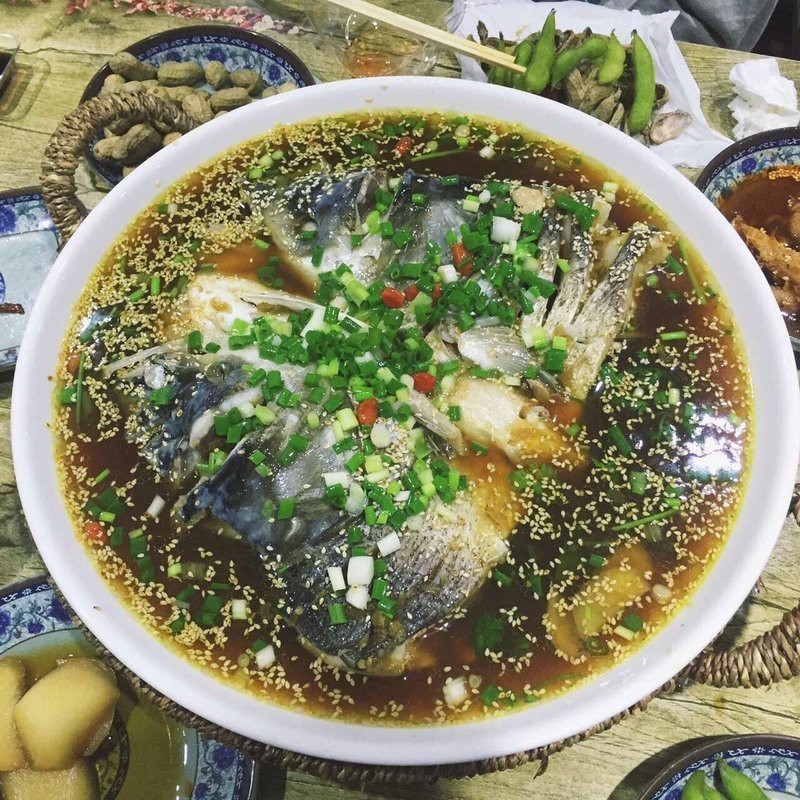 瑞安龍魚店|瑞安地區與龍魚相關的商業信息