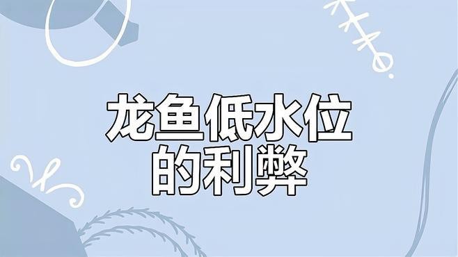 低水位養龍魚有哪些潛在風險？|低水位養龍魚有哪些成功案例 低水位養龍魚有哪些潛在風險？|低水位養龍魚有哪些成功案例 龍魚論壇 第5張