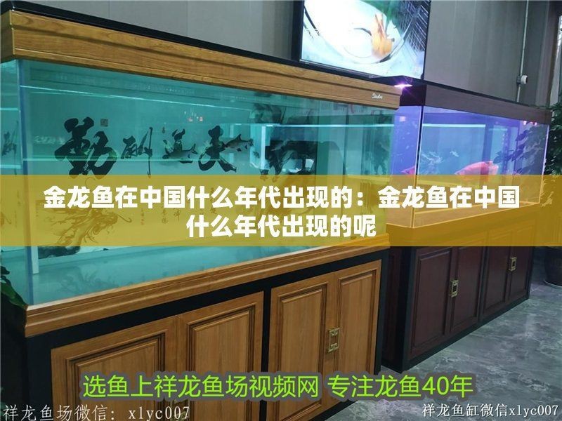 過背金龍引進中國時間|過背金龍在中國什么年代出現的