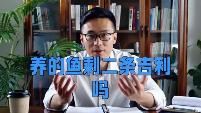兩條魚的風水寓意|兩條魚在風水中的寓意 兩條魚的風水寓意|兩條魚在風水中的寓意 龍魚百科 第7張