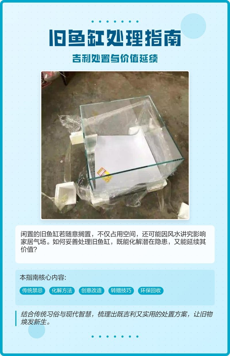 扔舊魚缸的正確方法|處理舊魚缸需綜合考慮風水禁忌、環保要求及情感因素