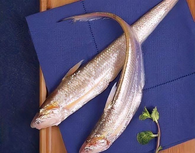 帶魚叫刀魚是哪里的叫法啊