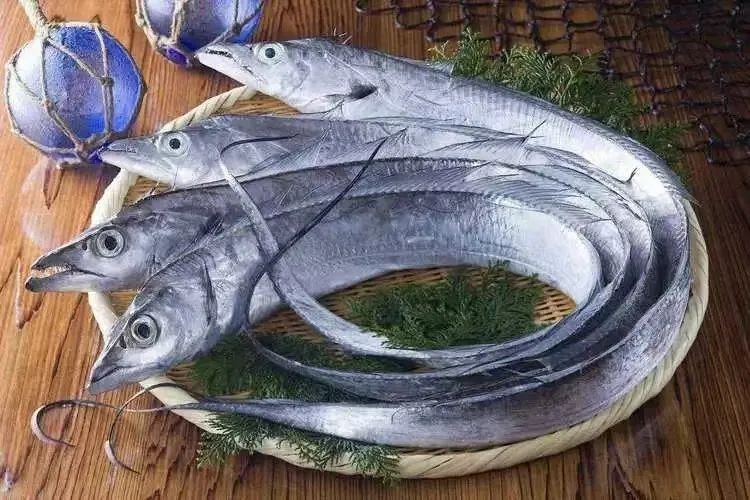 帶魚叫刀魚是哪里的叫法啊