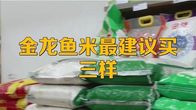 金龍魚最值得買三個牌子【金龍魚最建議買哪款洛洛gamer_】