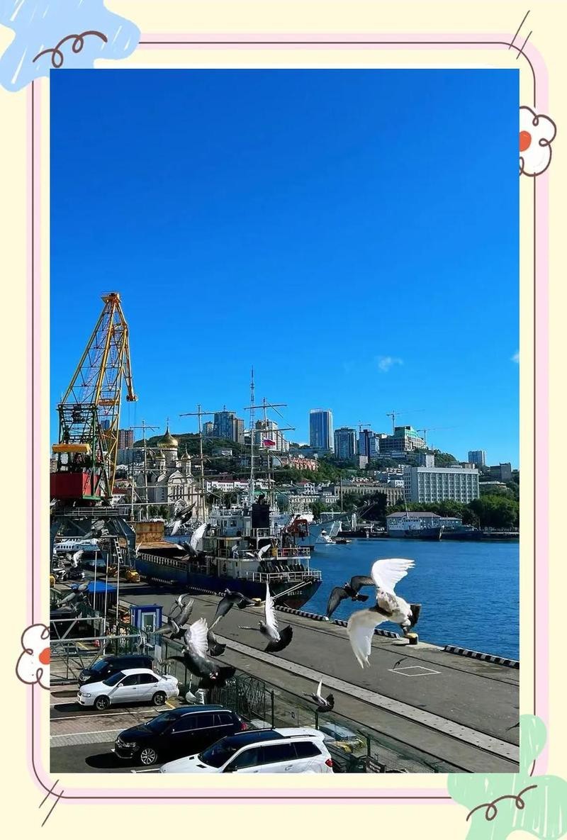 濱海水族店【天津市濱海新區(qū)塘沽景春水族店怎么樣】