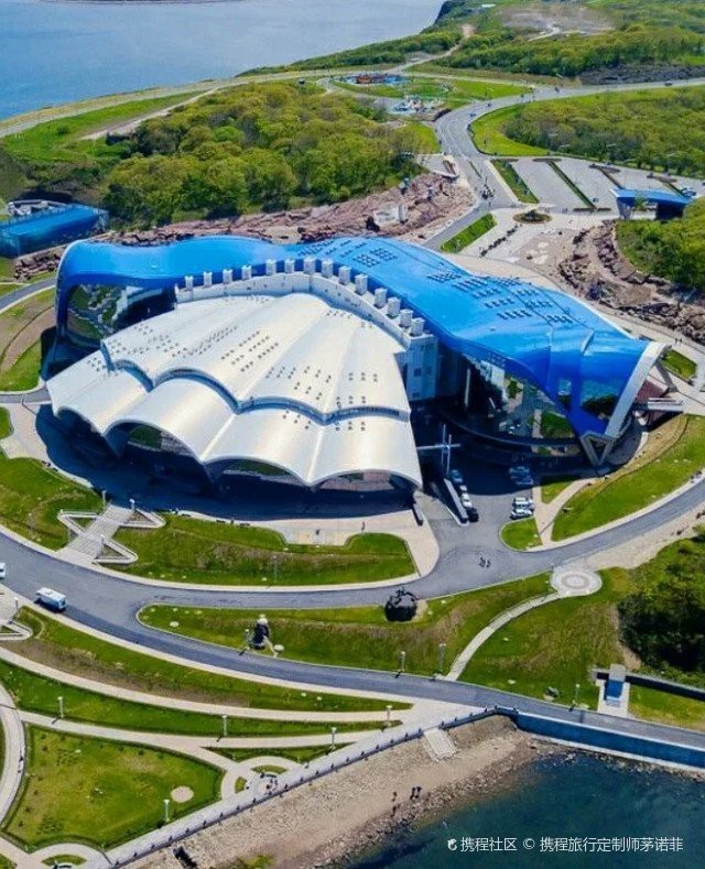 濱海水族店【天津市濱海新區(qū)塘沽景春水族店怎么樣】