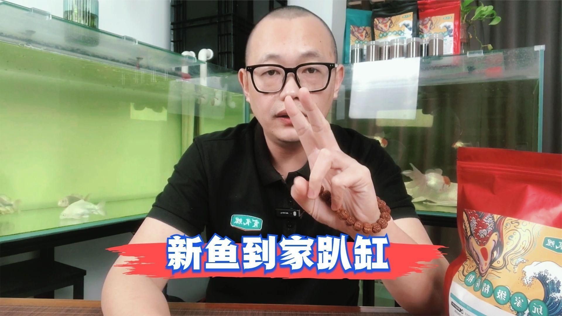 如何判斷魚趴缸是否嚴重？【判斷魚趴缸是否嚴重需要結合行為表現、體表特征和因素綜合分析】