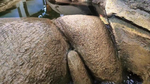 阿瓦提水族店【攜程旅行】