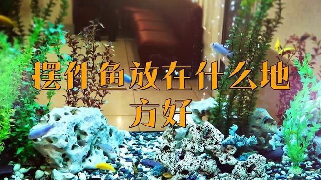 魚(yú)擺件的最佳擺放位置在哪里？【魚(yú)擺件的最佳擺放位置需綜合考慮】