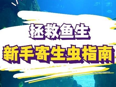 如何預防錦鯉寄生蟲感染？【如何預防錦鯉寄生蟲感染】