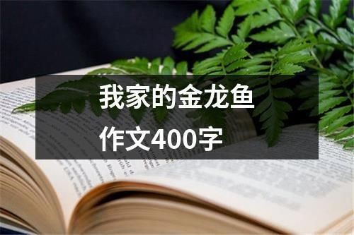 高端金龍魚【揭秘金龍魚:從外觀到養護全方位指南,慢悠悠的云彩】