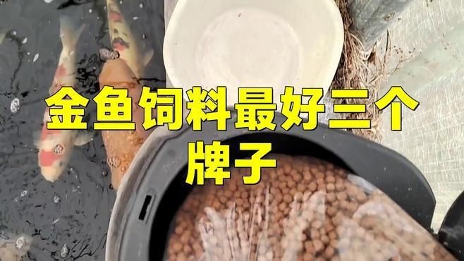 金魚飼料十大名牌【金魚飼料十大品牌排行榜】