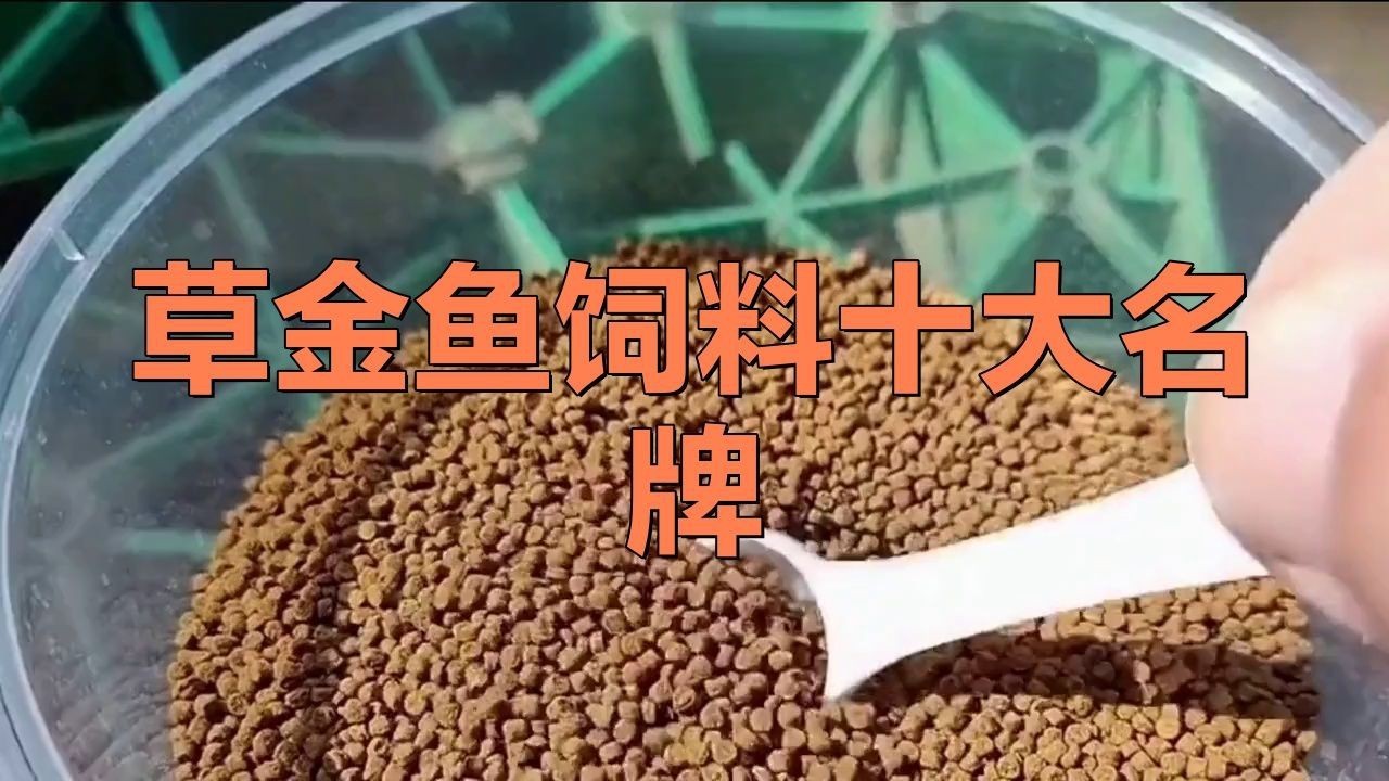 金魚飼料十大名牌【金魚飼料十大品牌排行榜】