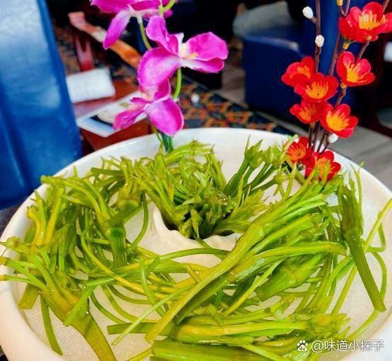 管城回族龍魚店【在管城回族區】