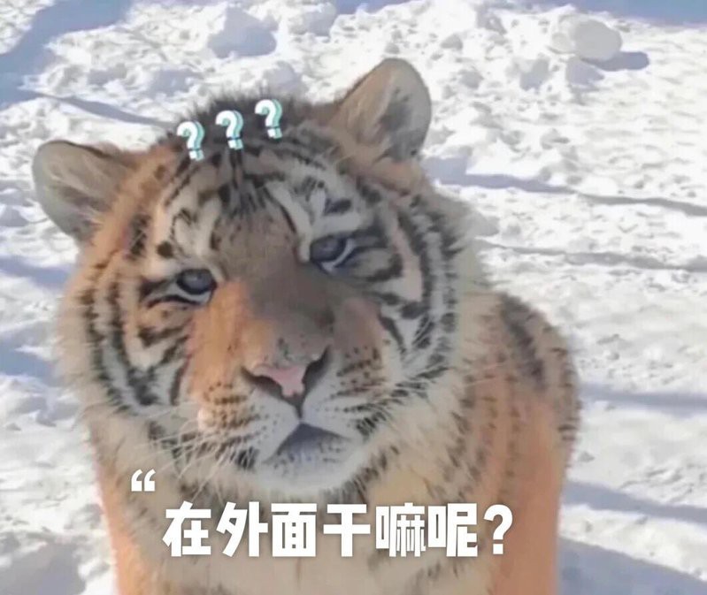 管城回族龍魚店【在管城回族區】