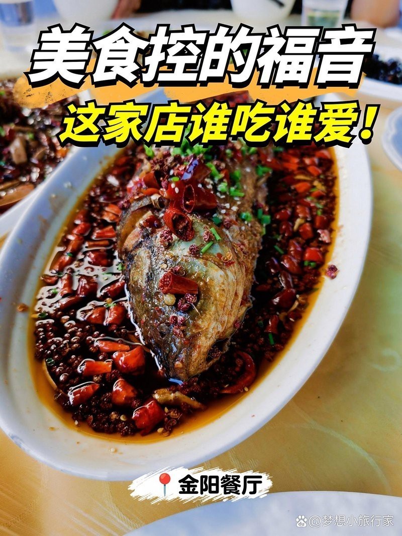金陽龍魚店 金陽龍魚店 全國水族館企業名錄 第8張