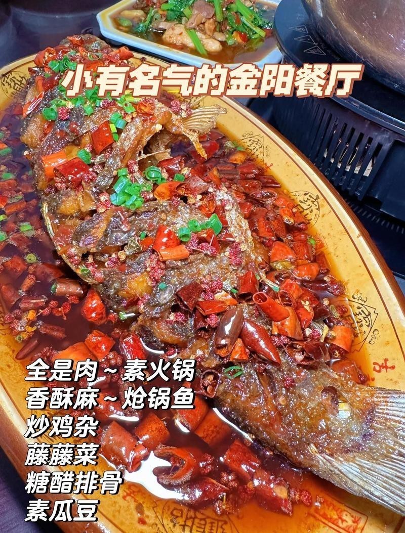 金陽龍魚店 金陽龍魚店 全國水族館企業名錄 第7張