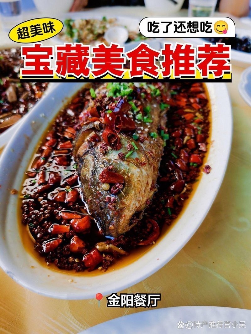 金陽龍魚店 金陽龍魚店 全國水族館企業名錄 第9張