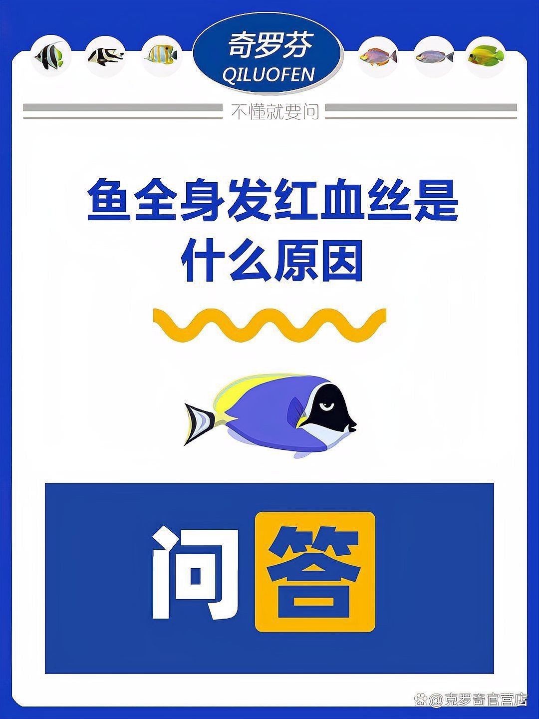 魚身上充血是什么原因【養魚技術：魚身充血是怎么回事】