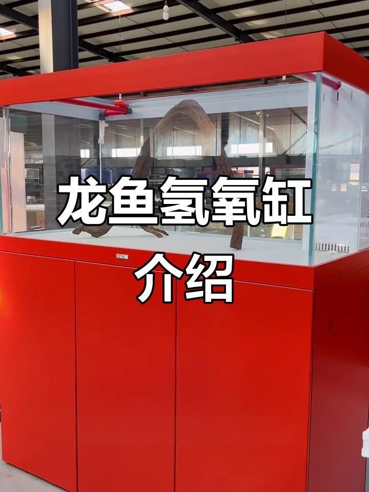 龍魚(yú)風(fēng)水缸尺寸標(biāo)準(zhǔn)【龍魚(yú)風(fēng)水缸的尺寸需綜合考慮飼養(yǎng)需求與風(fēng)水文化】 龍魚(yú)百科 第5張 龍魚(yú)風(fēng)水缸尺寸標(biāo)準(zhǔn)【龍魚(yú)風(fēng)水缸的尺寸需綜合考慮飼養(yǎng)需求與風(fēng)水文化】 龍魚(yú)風(fēng)水缸尺寸標(biāo)準(zhǔn)【龍魚(yú)風(fēng)水缸的尺寸需綜合考慮飼養(yǎng)需求與風(fēng)水文化】 龍魚(yú)百科 第5張