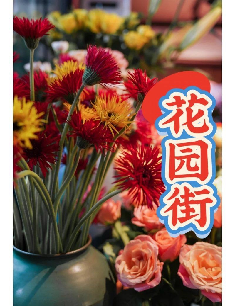 龍華花卉一條街在哪里【龍華公園路花卉一條街】