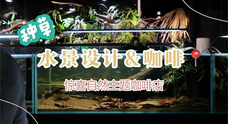 清遠(yuǎn)水族店【清遠(yuǎn)市擁有多家特色水族店及水族主題咖啡店及水族主題咖啡店】