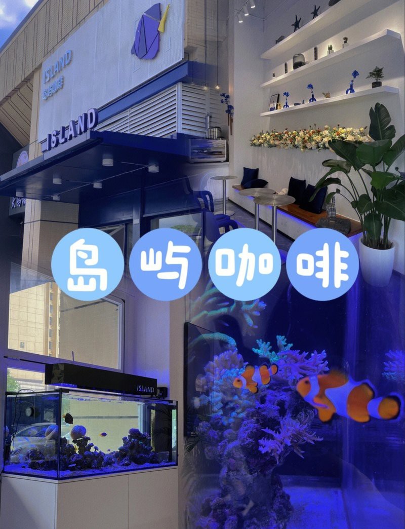 清遠(yuǎn)水族店【清遠(yuǎn)市擁有多家特色水族店及水族主題咖啡店及水族主題咖啡店】