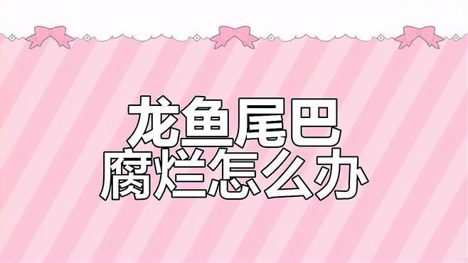 龍魚爛尾病如何治療？【智能模式回答完成調用工具：百度健康】