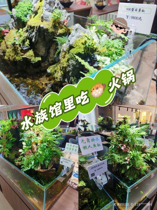 江油水族店【企查查，江油市中壩鎮亮點水族】