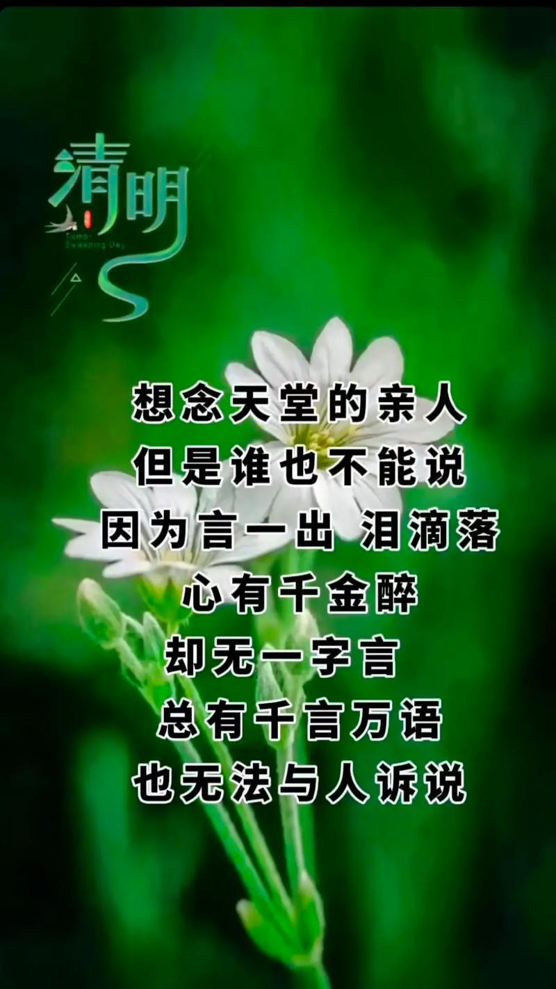 點一盞心燈圖片