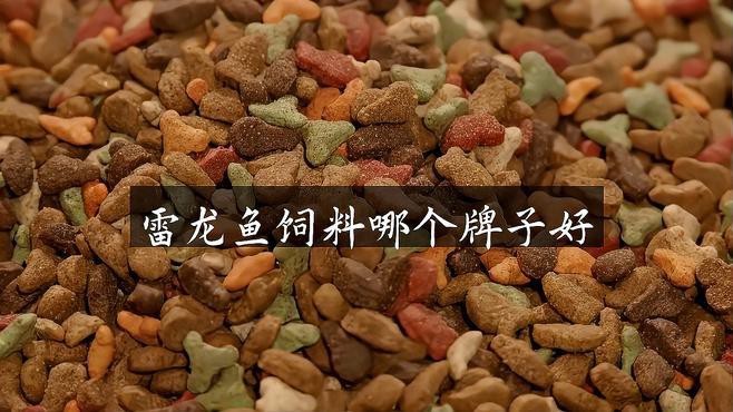有哪些品牌的雷龍魚飼料推薦？【智能模式回答完成調用工具：百因美（biozym）】 有哪些品牌的雷龍魚飼料推薦？【智能模式回答完成調用工具：百因美（biozym）】 龍魚百科 第7張