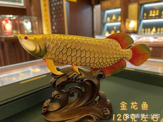 有沒有更多龍魚鎮宅的圖片？【龍魚鎮宅的風水寓意與擺放藝術】
