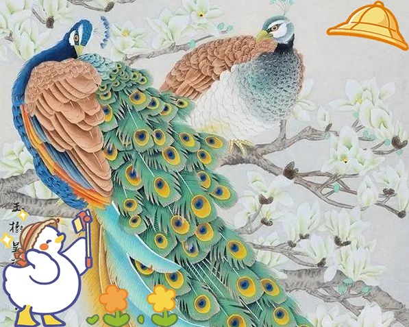 孔雀最旺三種人【\