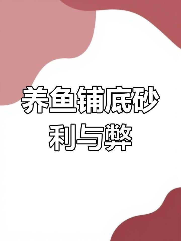 迷你鸚鵡裸缸還是鋪底砂【迷你鸚鵡魚養殖時，應該選擇裸缸還是鋪底砂】