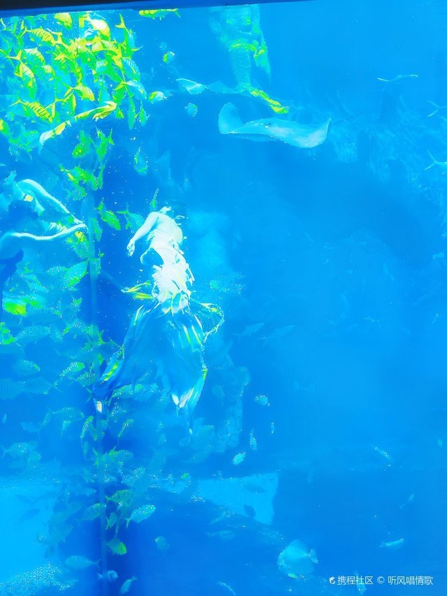 贛縣水族店【打卡贛州極地海洋世界攜程旅行網(wǎng)】