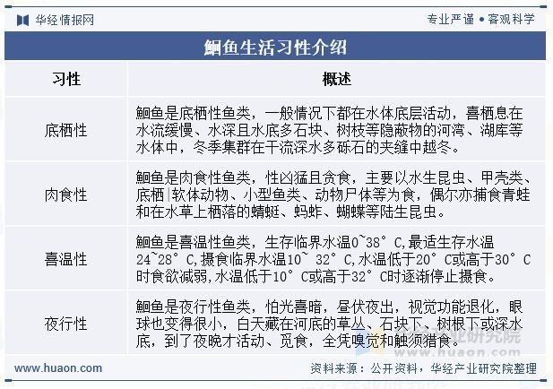 高端異型魚【關(guān)于高端異型魚的綜合性介紹】