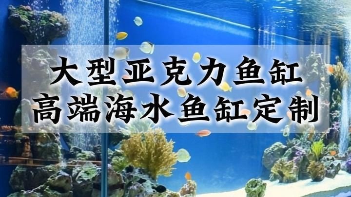 喀什魚(yú)缸定做【喀什水產(chǎn)養(yǎng)殖與觀賞魚(yú)市場(chǎng)逐步發(fā)展帶動(dòng)定制魚(yú)缸需求】