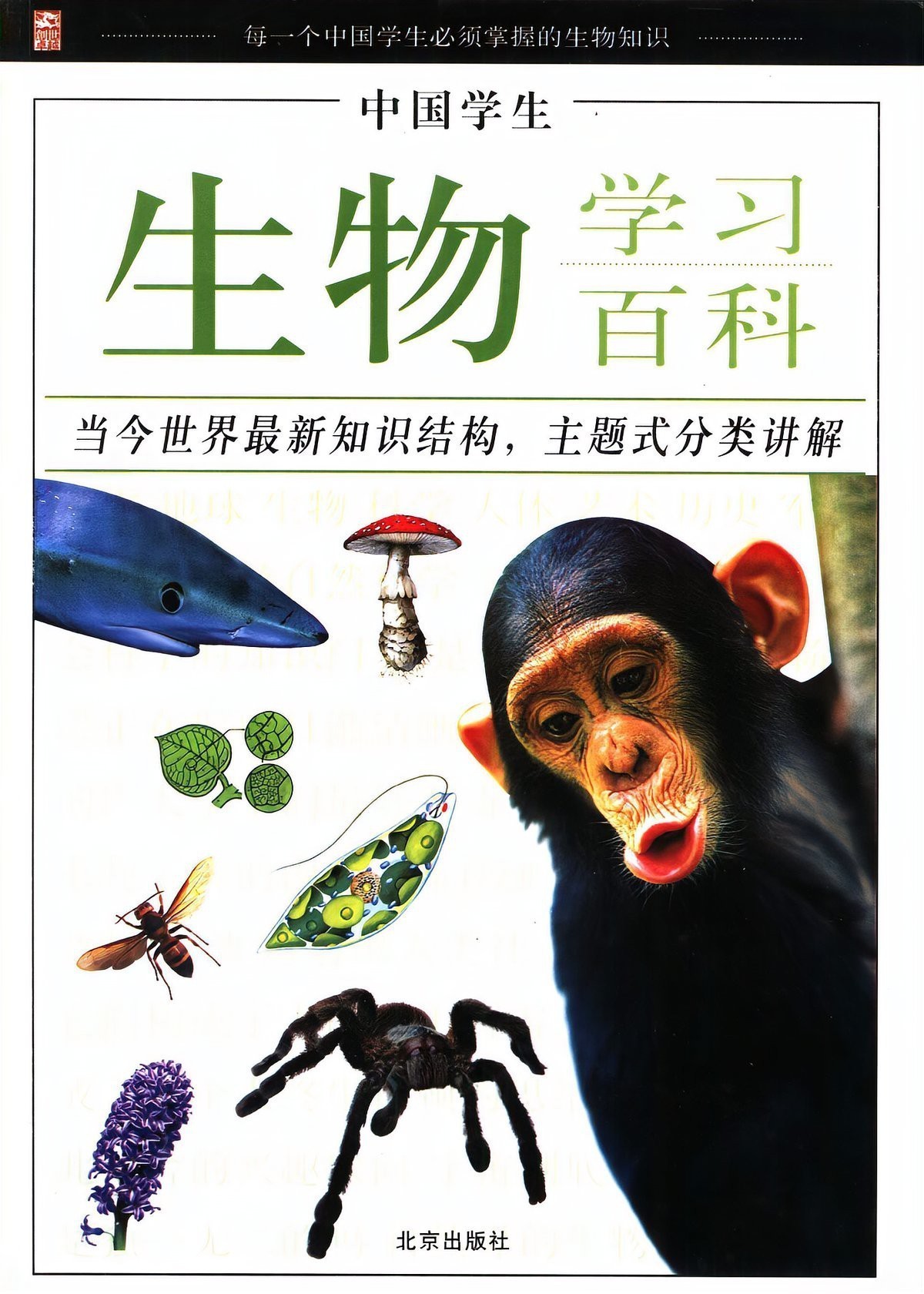 肺魚是不是兩棲動(dòng)物【肺魚與兩棲動(dòng)物之間存在密切的進(jìn)化關(guān)鍵環(huán)節(jié)23】 肺魚是不是兩棲動(dòng)物【肺魚與兩棲動(dòng)物之間存在密切的進(jìn)化關(guān)鍵環(huán)節(jié)23】 龍魚論壇 第3張