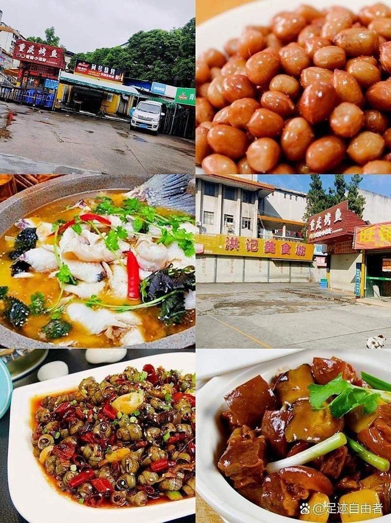 梅江龍魚店【梅江龍魚店哪家口碑最好】