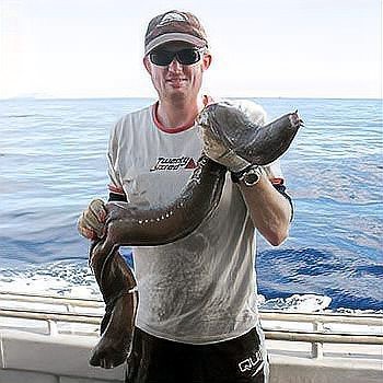 深海龍魚有哪些天敵案例【深海龍魚與海龜的捕獵較量】