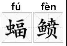 魔鬼魚的照片大全大圖【海洋中最具視覺沖擊力的生物之一,蝠鲼:10歲開始繁衍的魔鬼魚】