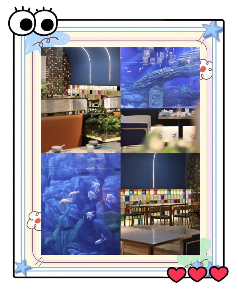 融安水族店【融安縣哪家水族館口碑最好】
