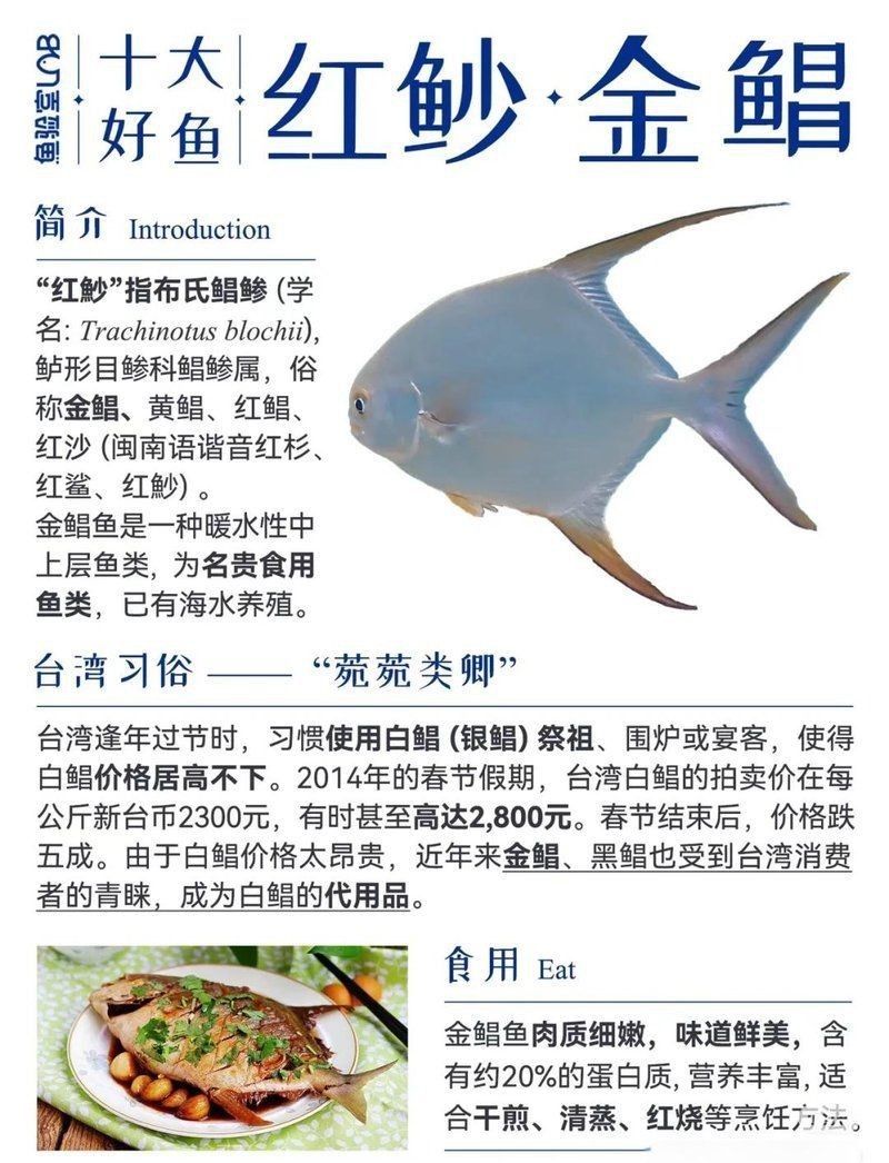 馬來西亞有哪些海魚【馬來西亞十大系海魚大揭秘】