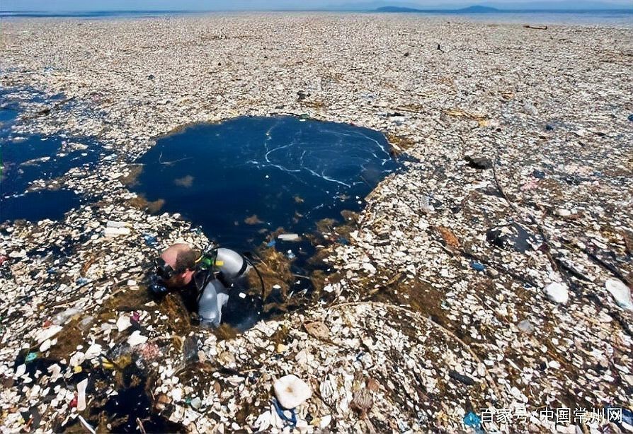 三文魚毒性最大的三個地方【三文魚三大毒性部位深度解析與安全食用指南：三文魚】
