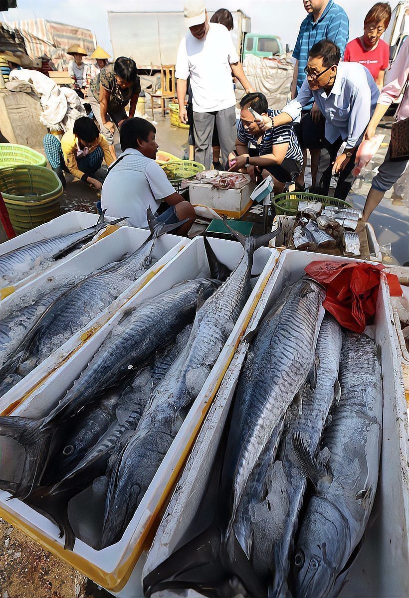 三文魚毒性最大的三個地方【三文魚三大毒性部位深度解析與安全食用指南：三文魚】